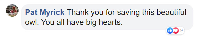 Owl Gets Rescued From Fire, Looks Angry As Hell And People Say It’s Funny Owl Gets Rescued From Fire, Looks Angry As Hell And People Say It’s Funny