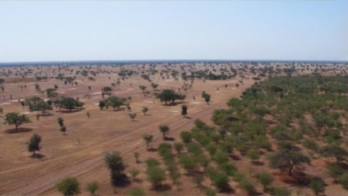 Over 20 Countries Started Building The “Great Green Wall” To Stop Climate Change & Poverty Over 20 Countries Started Building The “Great Green Wall” To Stop Climate Change & Poverty