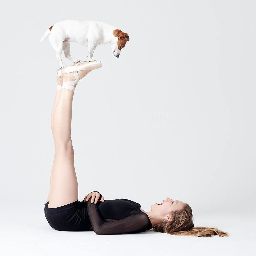 Ballet Dancers And Dogs Pose Together For A Photoshoot And The Result Will Make Your Day (40 Pics) Ballet Dancers And Dogs Pose Together For A Photoshoot And The Result Will Make Your Day (40 Pics)