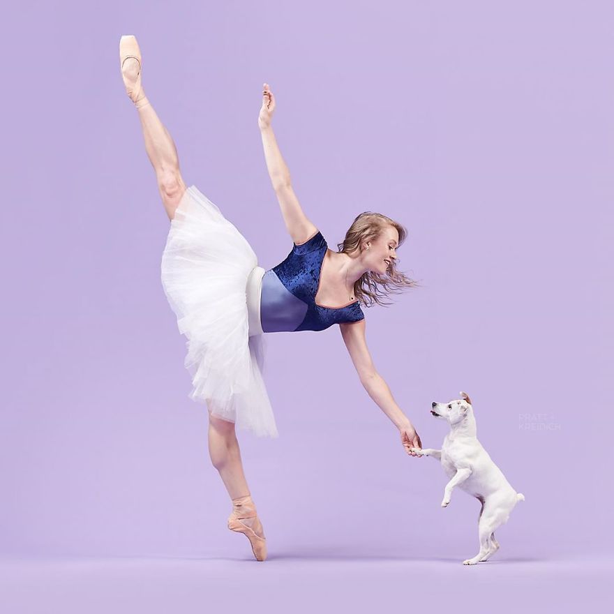 Ballet Dancers And Dogs Pose Together For A Photoshoot And The Result Will Make Your Day (40 Pics) Ballet Dancers And Dogs Pose Together For A Photoshoot And The Result Will Make Your Day (40 Pics)