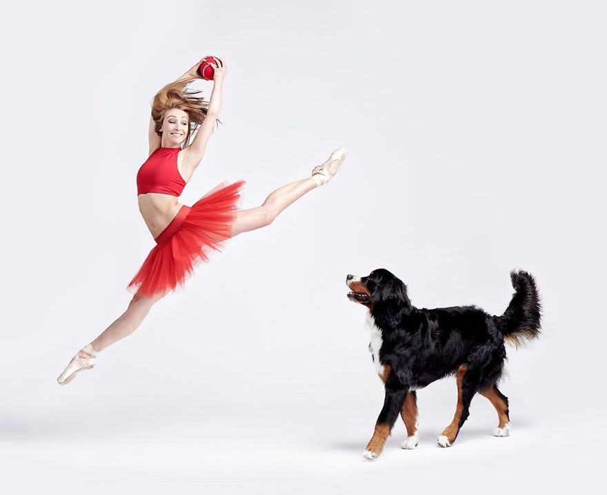 Ballet Dancers And Dogs Pose Together For A Photoshoot And The Result Will Make Your Day (40 Pics) Ballet Dancers And Dogs Pose Together For A Photoshoot And The Result Will Make Your Day (40 Pics)
