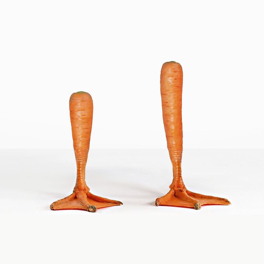 30 Mind-Bending And Funny Photo Mash-Ups By Stephen Mcmennamy (New Pics)