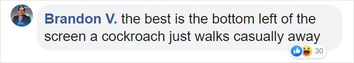 Man Accidentally Blows Up His Entire Backyard While Trying To Get Rid Of Cockroaches Man Accidentally Blows Up His Entire Backyard While Trying To Get Rid Of Cockroaches