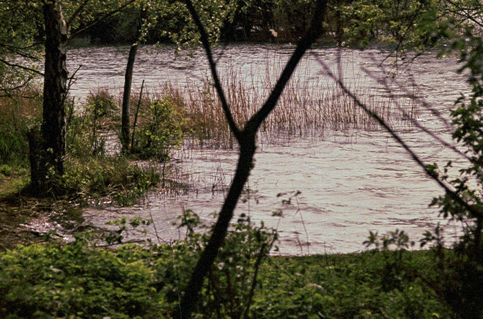 “Her Poor Mum Blamed Herself”: 90 Stories Of Lives That Ended In The Most Unexpected Ways “Her Poor Mum Blamed Herself”: 90 Stories Of Lives That Ended In The Most Unexpected Ways