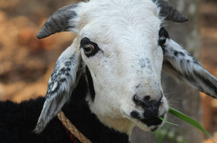 “Her Poor Mum Blamed Herself”: 90 Stories Of Lives That Ended In The Most Unexpected Ways “Her Poor Mum Blamed Herself”: 90 Stories Of Lives That Ended In The Most Unexpected Ways