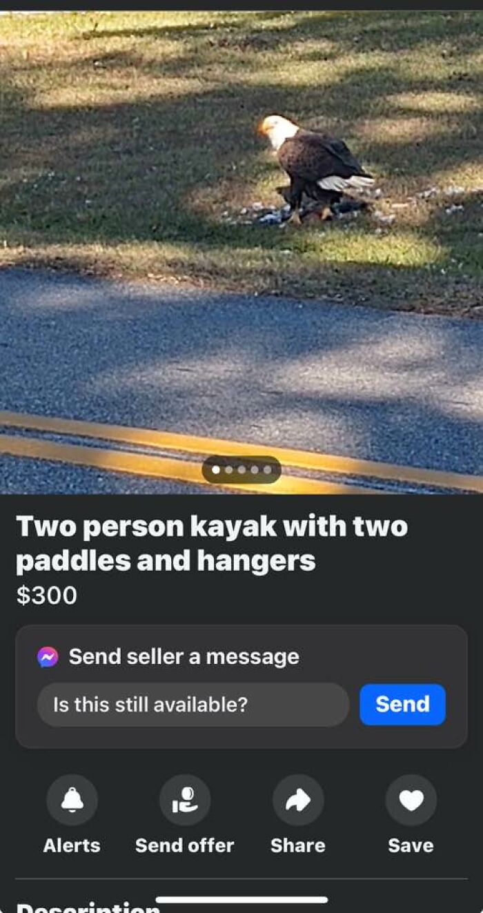 100 Times FB Marketplace Shined With The Most Unhinged Posts