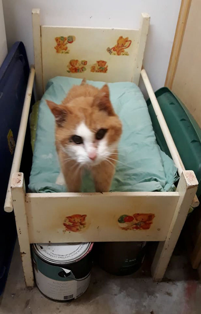 45 Times People Found Such Great Things In Thrift Stores, Flea Markets, And Garage Sales, They Just Had To Share 45 Times People Found Such Great Things In Thrift Stores, Flea Markets, And Garage Sales, They Just Had To Share