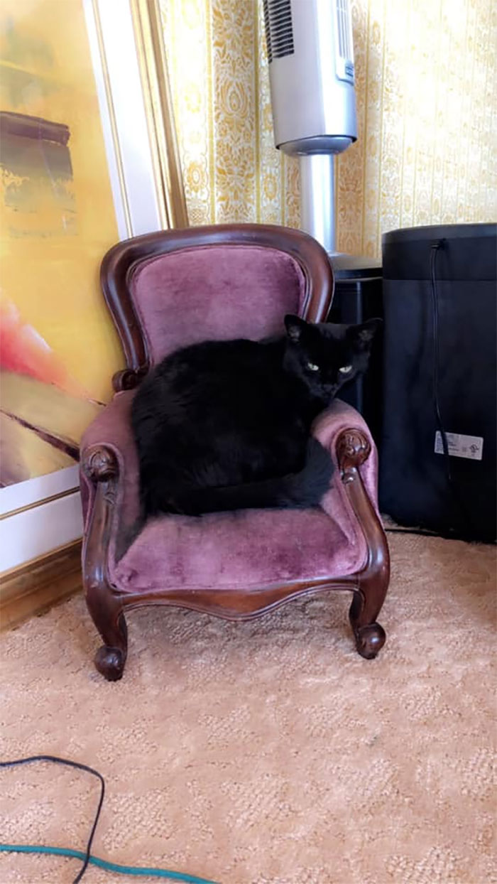 45 Times People Found Such Great Things In Thrift Stores, Flea Markets, And Garage Sales, They Just Had To Share 45 Times People Found Such Great Things In Thrift Stores, Flea Markets, And Garage Sales, They Just Had To Share