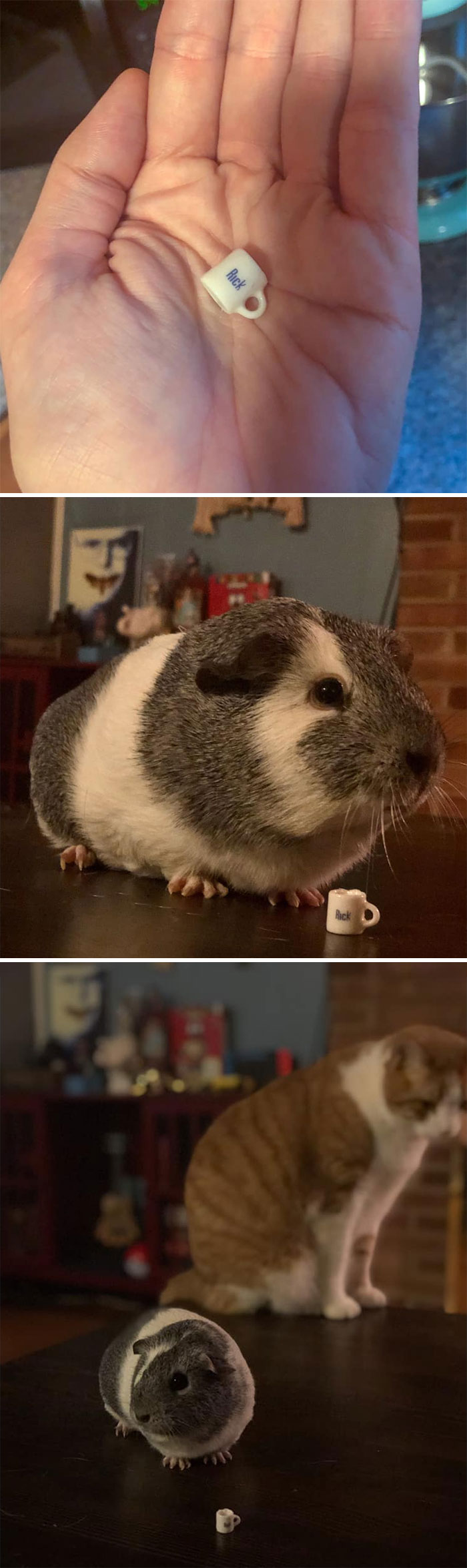 45 Times People Found Such Great Things In Thrift Stores, Flea Markets, And Garage Sales, They Just Had To Share 45 Times People Found Such Great Things In Thrift Stores, Flea Markets, And Garage Sales, They Just Had To Share