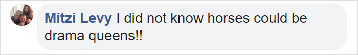 Dramatic Horse Pretends To Be Dead Whenever People Try To Ride Him Dramatic Horse Pretends To Be Dead Whenever People Try To Ride Him