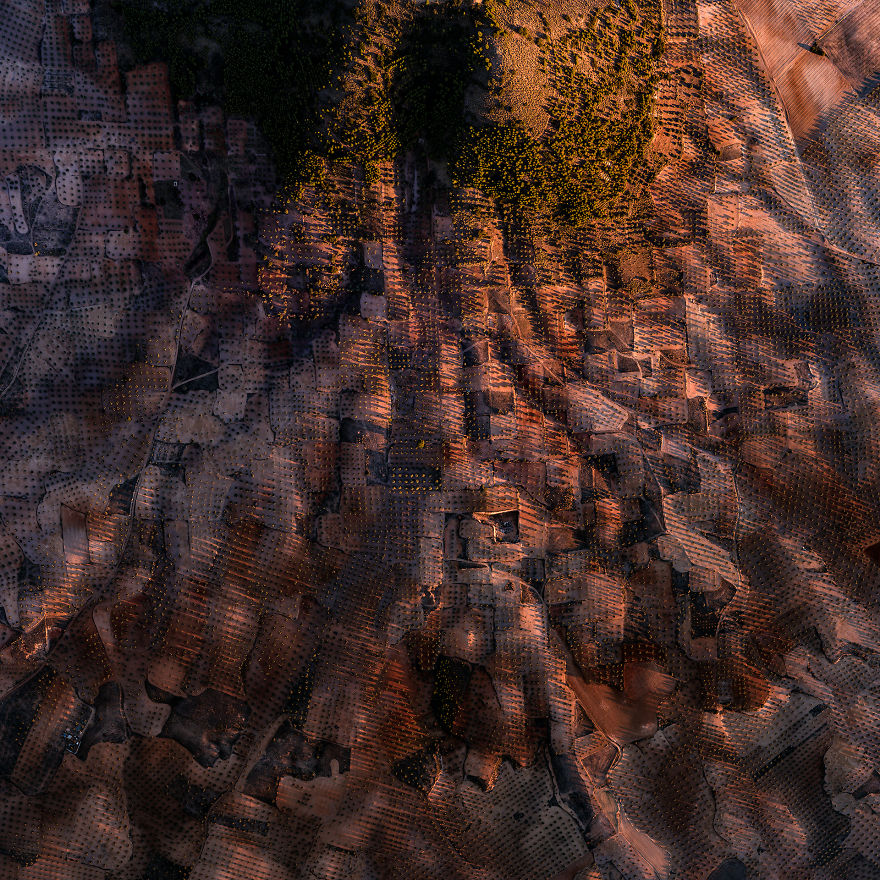 I Photographed Dry Spanish Farmlands That Resemble The Paintings Of Picasso, Miró, And Dalí