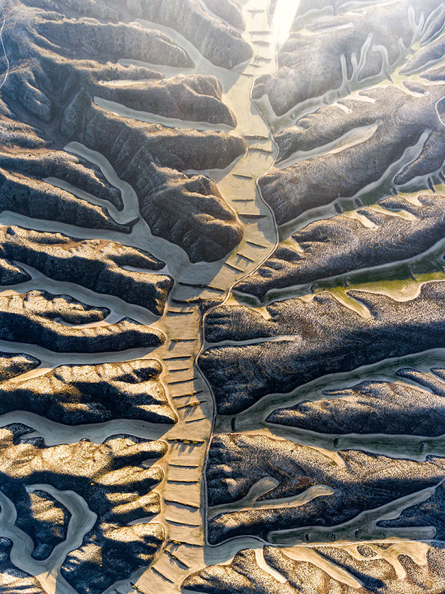 I Photographed Dry Spanish Farmlands That Resemble The Paintings Of Picasso, Miró, And Dalí