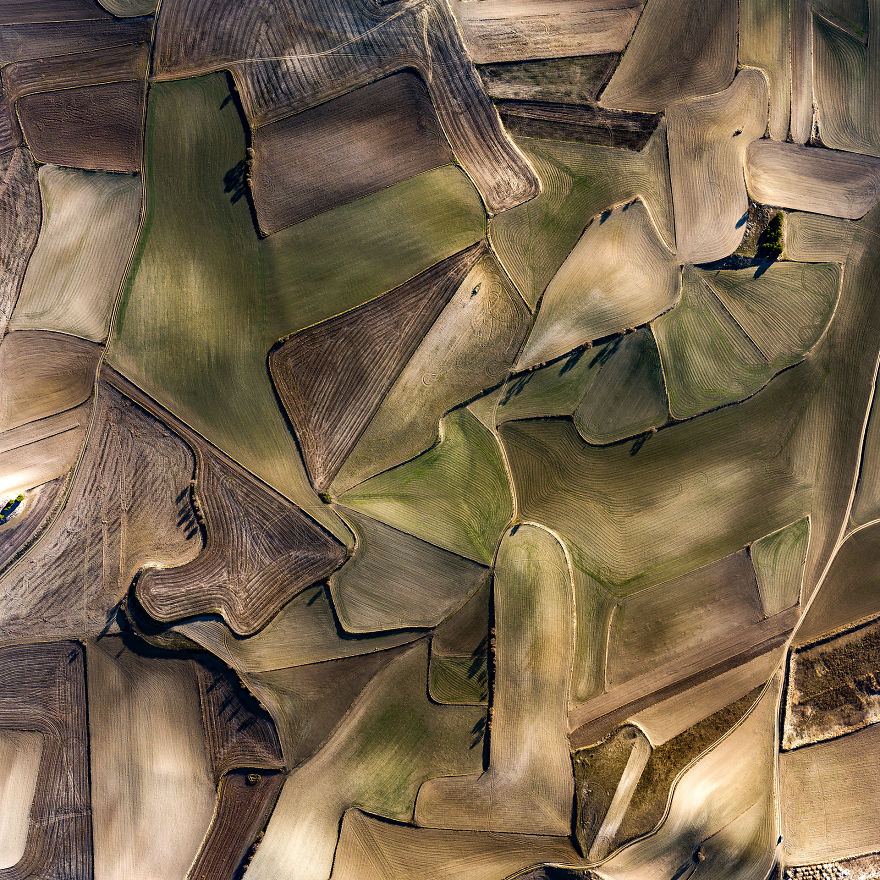 I Photographed Dry Spanish Farmlands That Resemble The Paintings Of Picasso, Miró, And Dalí