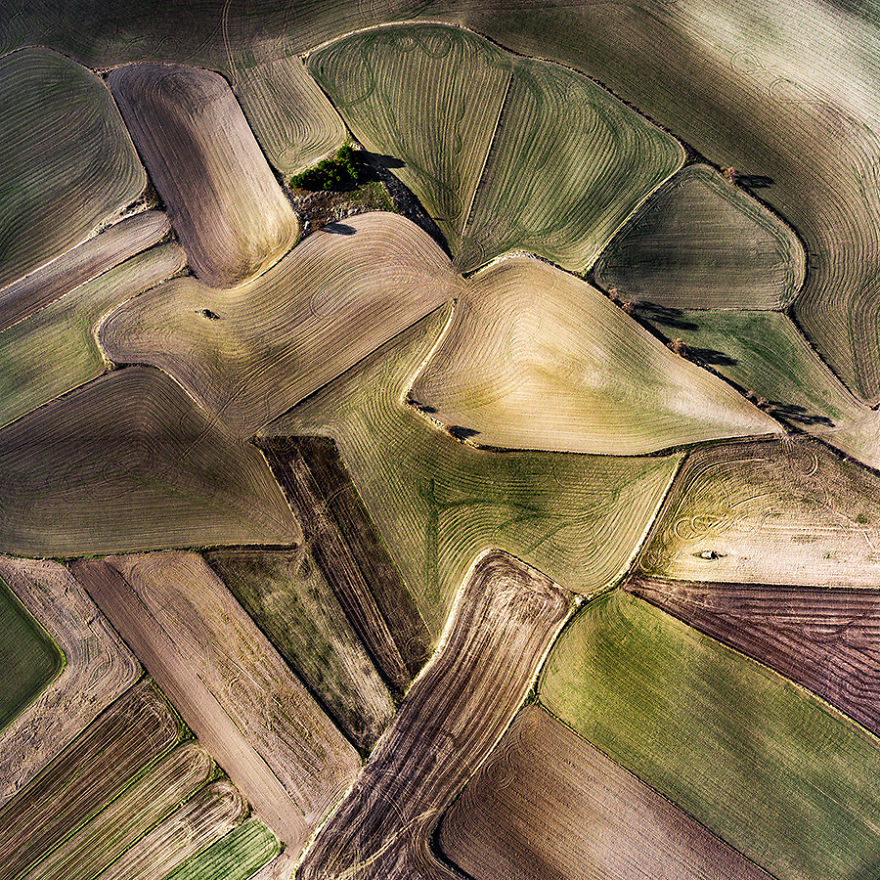 I Photographed Dry Spanish Farmlands That Resemble The Paintings Of Picasso, Miró, And Dalí
