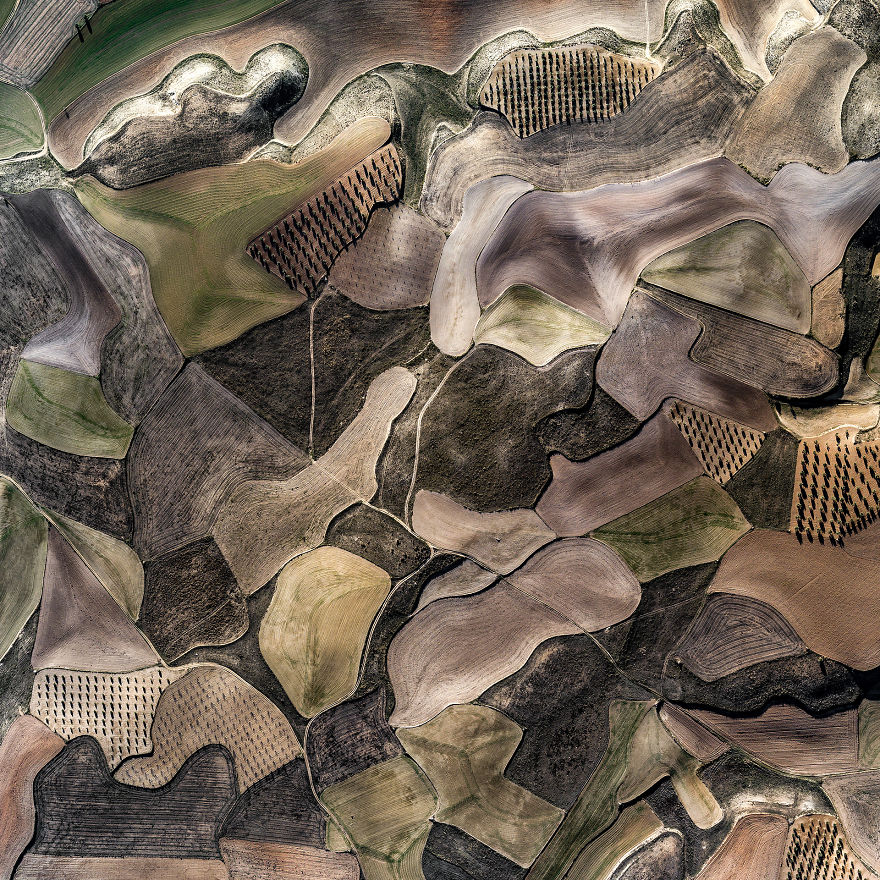 I Photographed Dry Spanish Farmlands That Resemble The Paintings Of Picasso, Miró, And Dalí