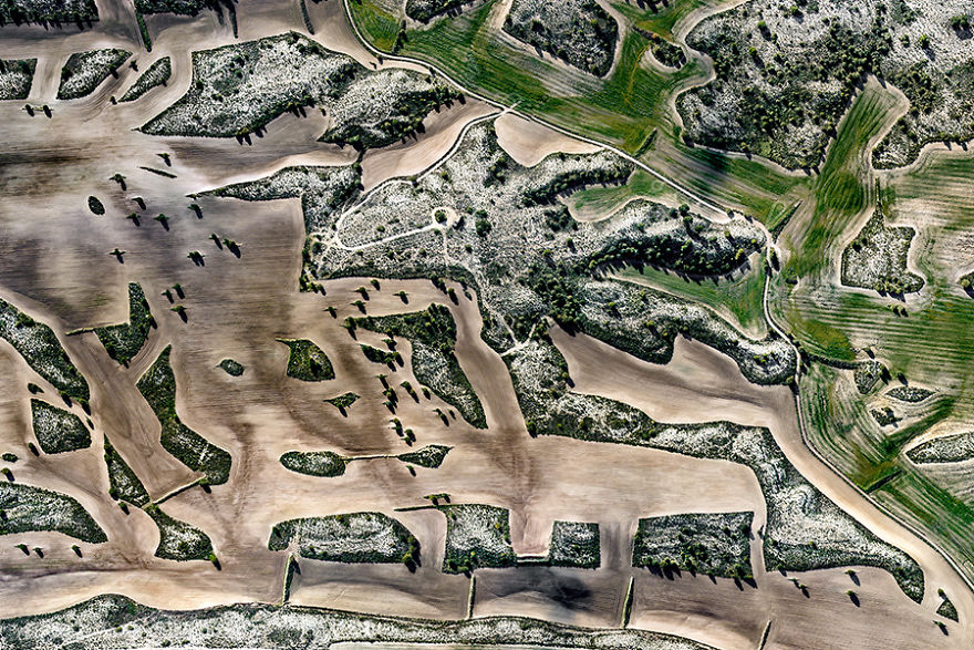 I Photographed Dry Spanish Farmlands That Resemble The Paintings Of Picasso, Miró, And Dalí