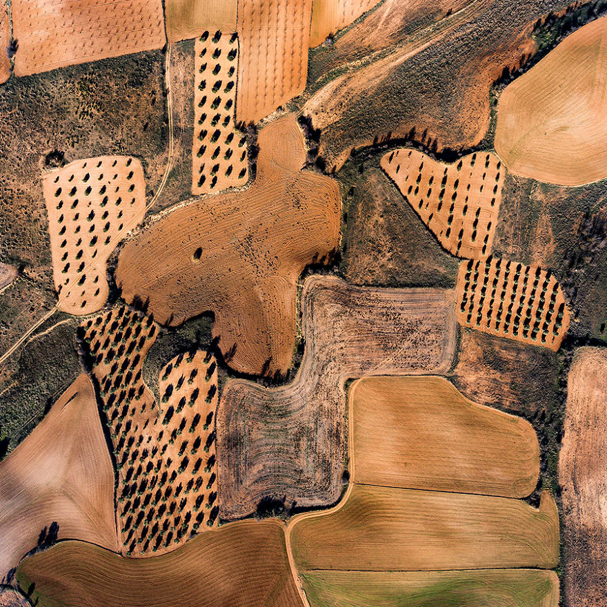 I Photographed Dry Spanish Farmlands That Resemble The Paintings Of Picasso, Miró, And Dalí