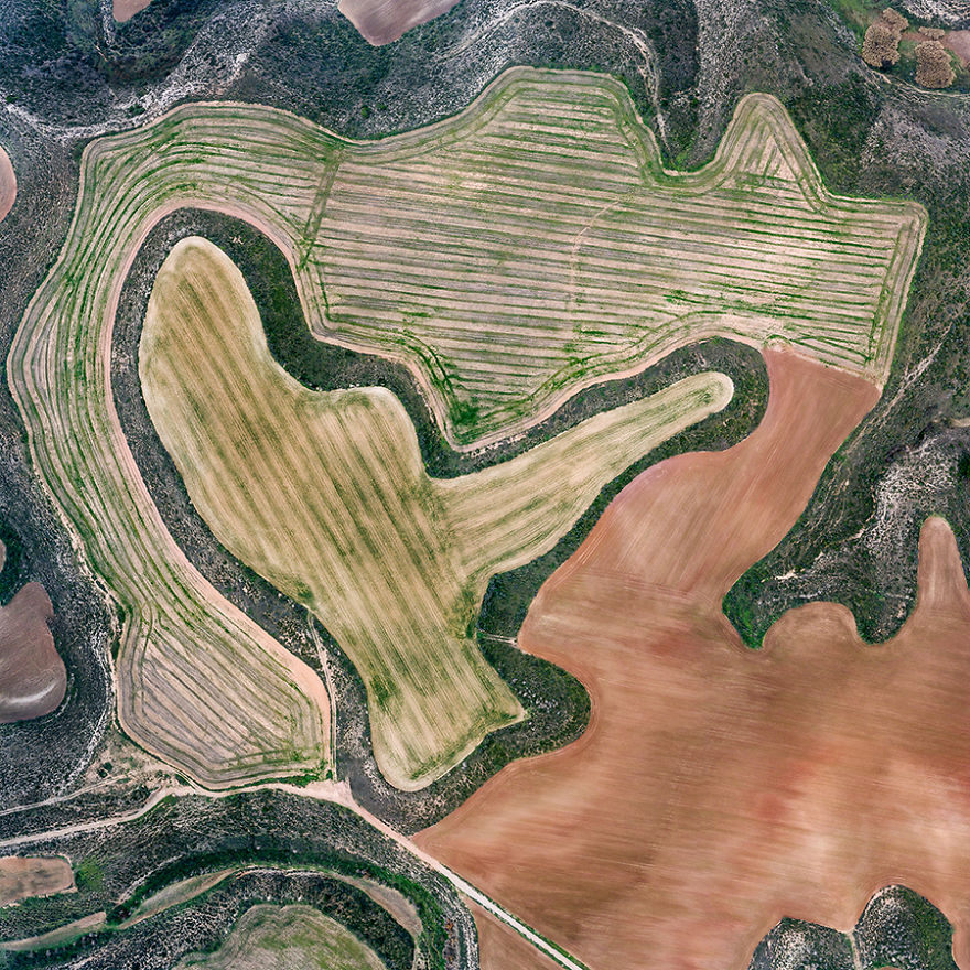 I Photographed Dry Spanish Farmlands That Resemble The Paintings Of Picasso, Miró, And Dalí