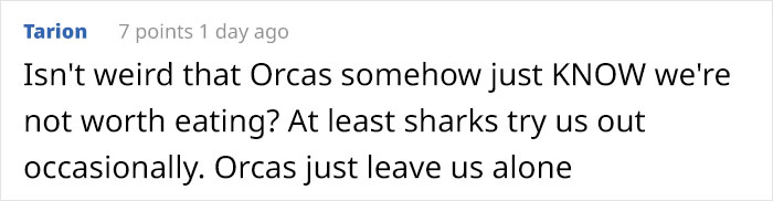 This Comic Strip Only Looks Funny Until You Learn This Could Actually Happen This Comic Strip Only Looks Funny Until You Learn This Could Actually Happen