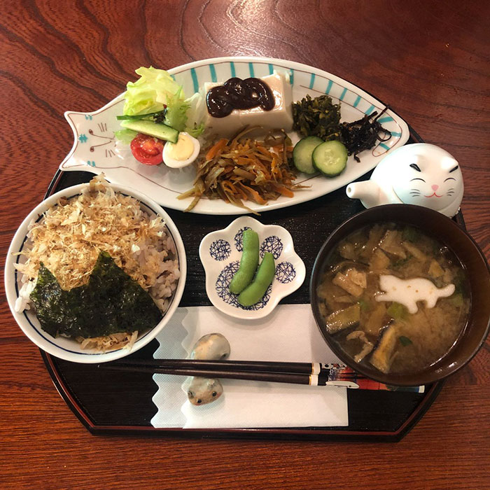 There Is A Cat Temple In Japan And Its Monks Are The Cutest There Is A Cat Temple In Japan And Its Monks Are The Cutest
