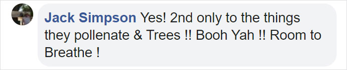 Bees Are Now Officially Declared To Be The Most Important Beings On Earth Bees Are Now Officially Declared To Be The Most Important Beings On Earth