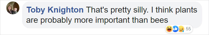 Bees Are Now Officially Declared To Be The Most Important Beings On Earth Bees Are Now Officially Declared To Be The Most Important Beings On Earth