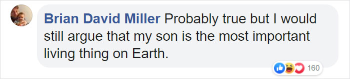 Bees Are Now Officially Declared To Be The Most Important Beings On Earth Bees Are Now Officially Declared To Be The Most Important Beings On Earth