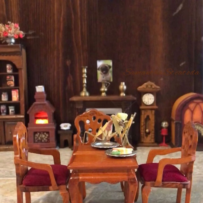 This Sophisticated Pet Mantis Has An Instagram Account And Her Followers Love Watching Her Testing Out Miniature Furniture This Sophisticated Pet Mantis Has An Instagram Account And Her Followers Love Watching Her Testing Out Miniature Furniture