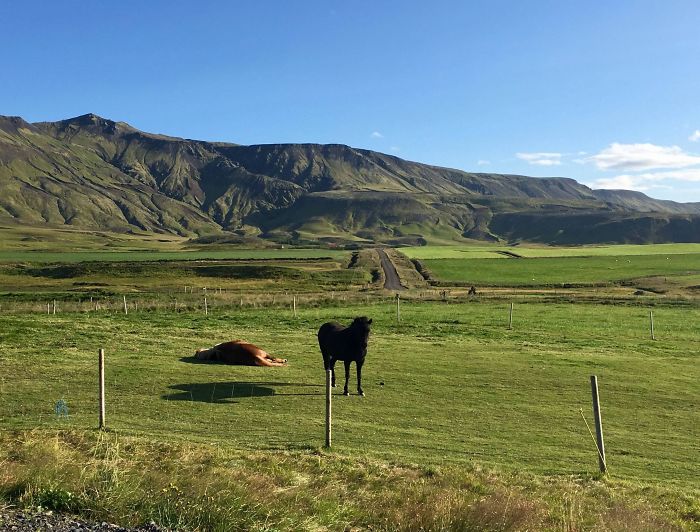 45 Photos Which Are Hard To Believe Aren’t Photoshopped 45 Photos Which Are Hard To Believe Aren’t Photoshopped