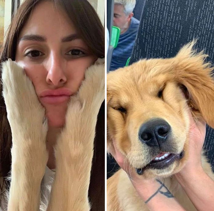 The Connection That This Girl Has With Her Dogs Is The Definition Of Soul Mates (30 Pics) The Connection That This Girl Has With Her Dogs Is The Definition Of Soul Mates (30 Pics)