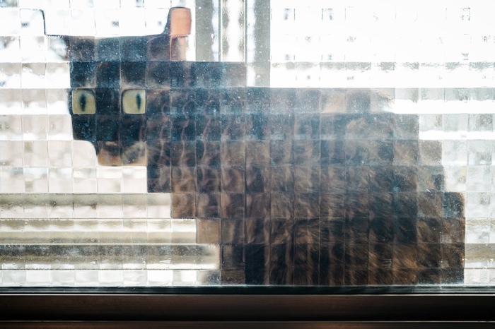 25 Times People Spotted Pixel Cats In Real Life And Just Had To Share