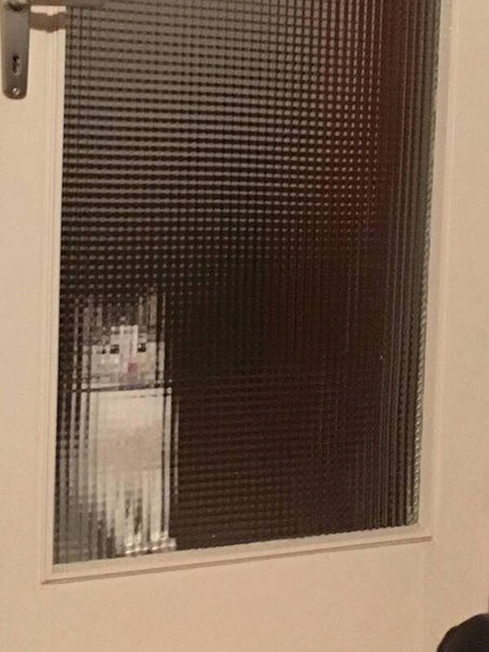 25 Times People Spotted Pixel Cats In Real Life And Just Had To Share