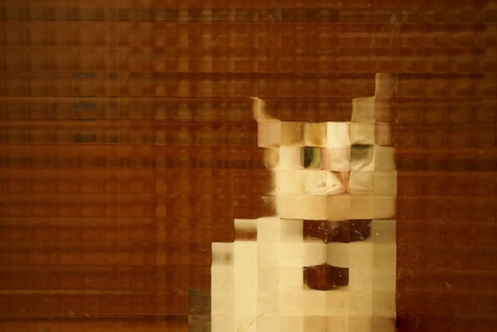 25 Times People Spotted Pixel Cats In Real Life And Just Had To Share