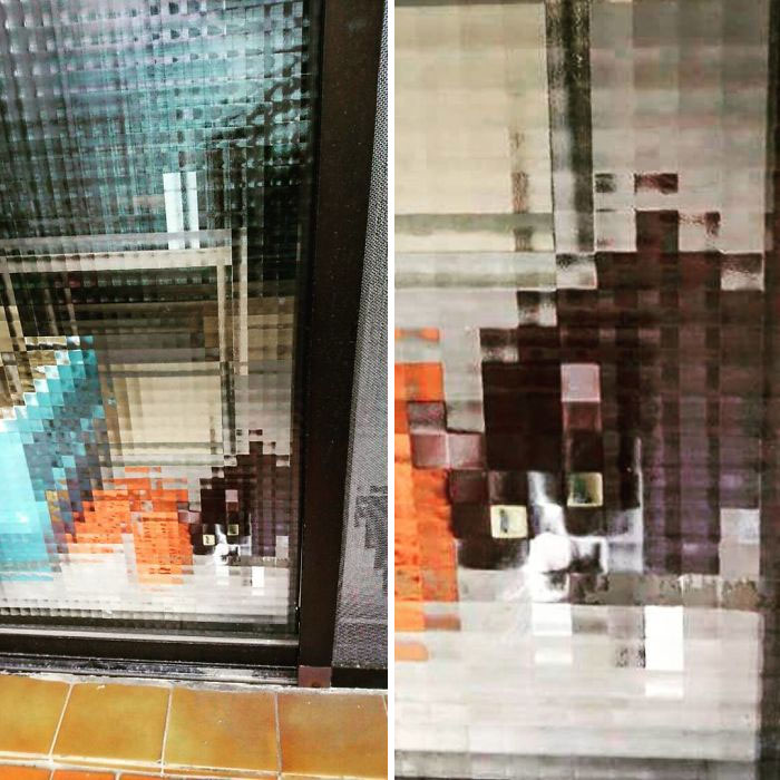 25 Times People Spotted Pixel Cats In Real Life And Just Had To Share