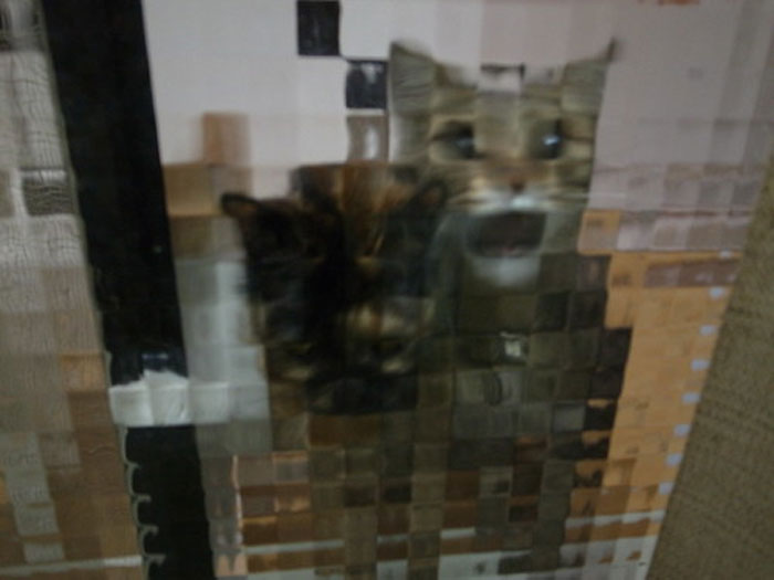 25 Times People Spotted Pixel Cats In Real Life And Just Had To Share