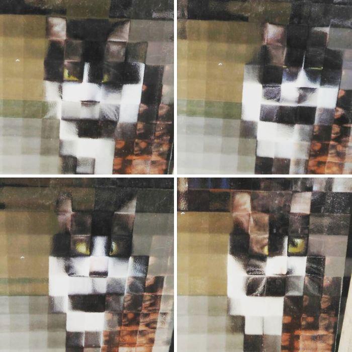 25 Times People Spotted Pixel Cats In Real Life And Just Had To Share