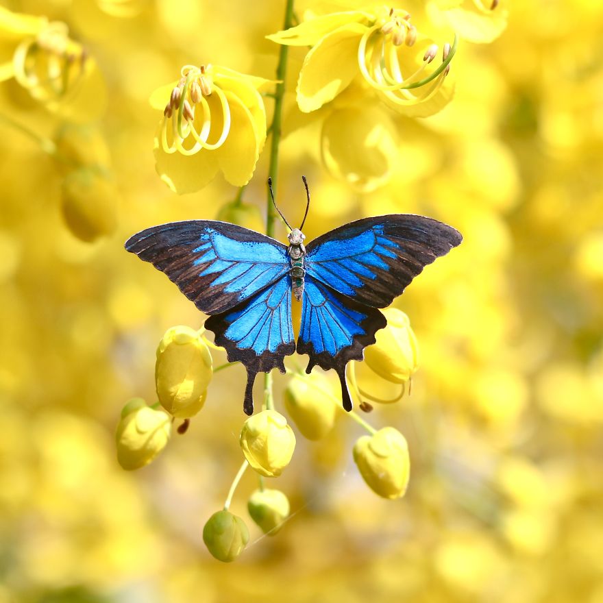 We Make Paper Cut Miniature Animals and One Takes 4 To 6 Hours To Complete We Make Paper Cut Miniature Animals and One Takes 4 To 6 Hours To Complete