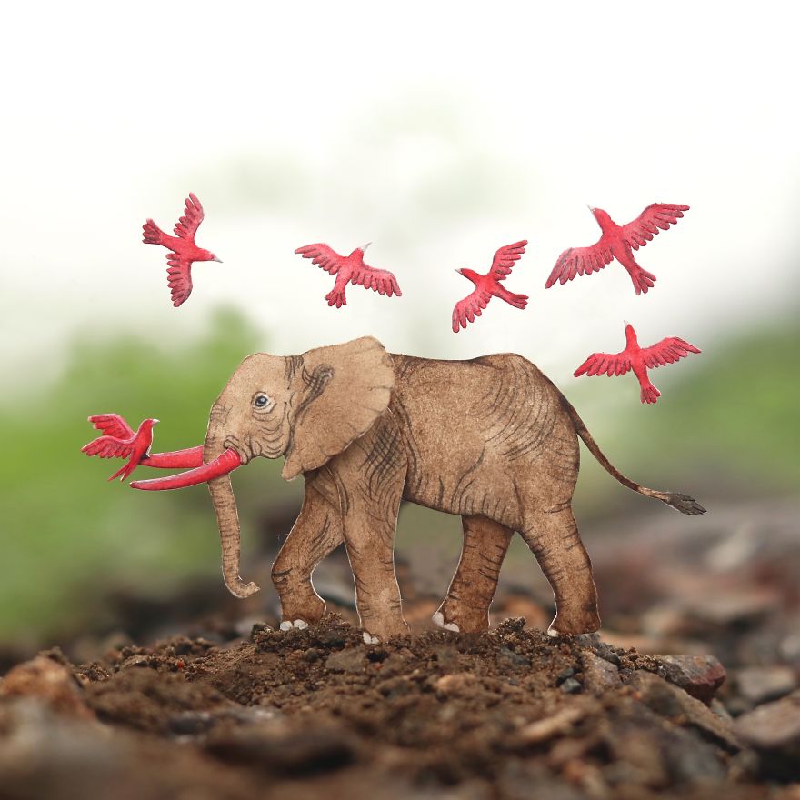 We Make Paper Cut Miniature Animals and One Takes 4 To 6 Hours To Complete We Make Paper Cut Miniature Animals and One Takes 4 To 6 Hours To Complete