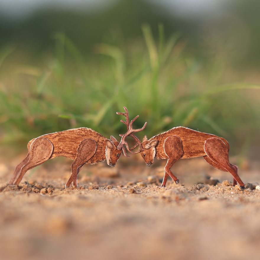 We Make Paper Cut Miniature Animals and One Takes 4 To 6 Hours To Complete We Make Paper Cut Miniature Animals and One Takes 4 To 6 Hours To Complete