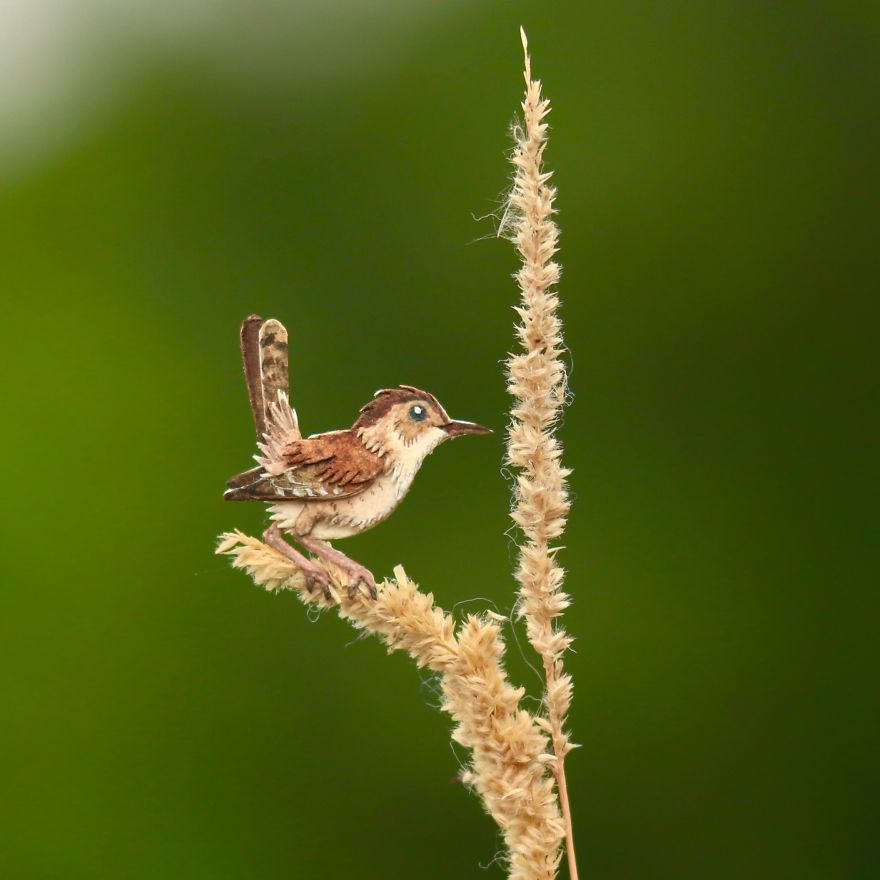 We Make Paper Cut Miniature Animals and One Takes 4 To 6 Hours To Complete We Make Paper Cut Miniature Animals and One Takes 4 To 6 Hours To Complete