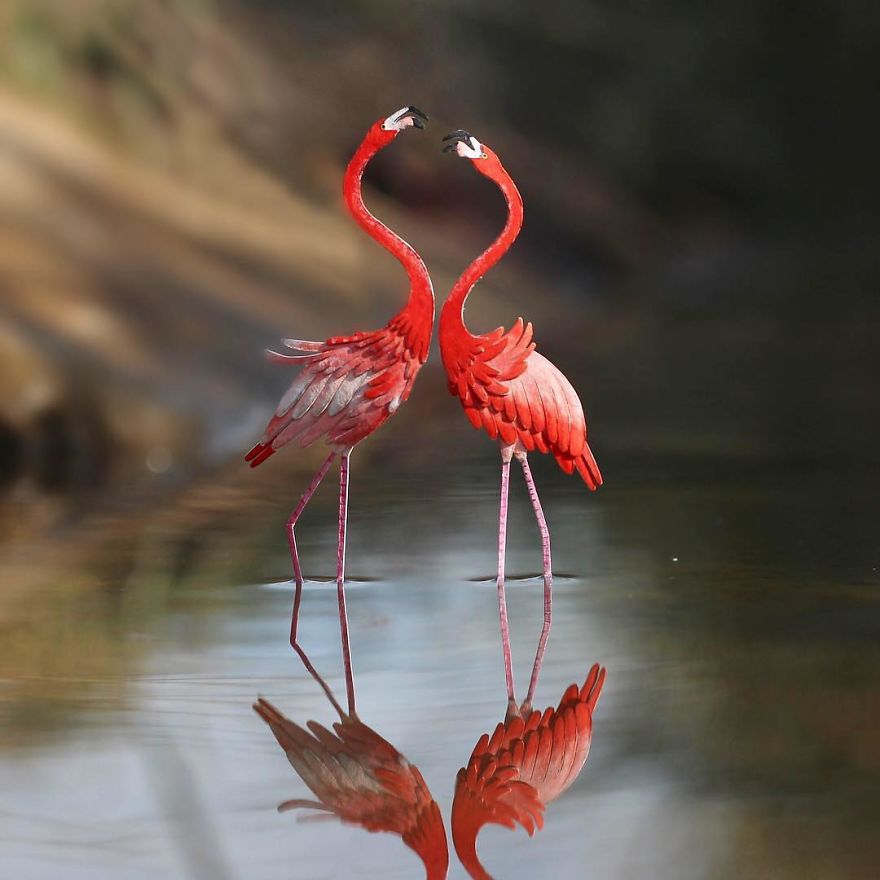 We Make Paper Cut Miniature Animals and One Takes 4 To 6 Hours To Complete We Make Paper Cut Miniature Animals and One Takes 4 To 6 Hours To Complete