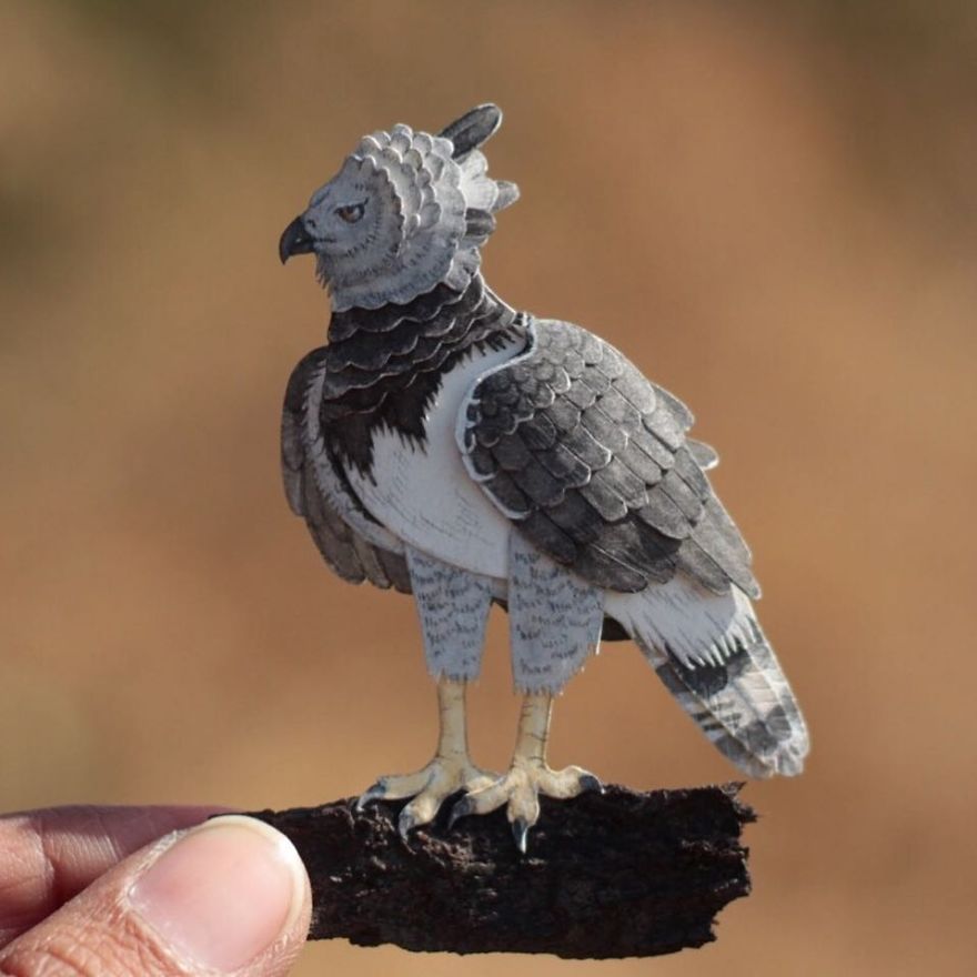 We Make Paper Cut Miniature Animals and One Takes 4 To 6 Hours To Complete We Make Paper Cut Miniature Animals and One Takes 4 To 6 Hours To Complete