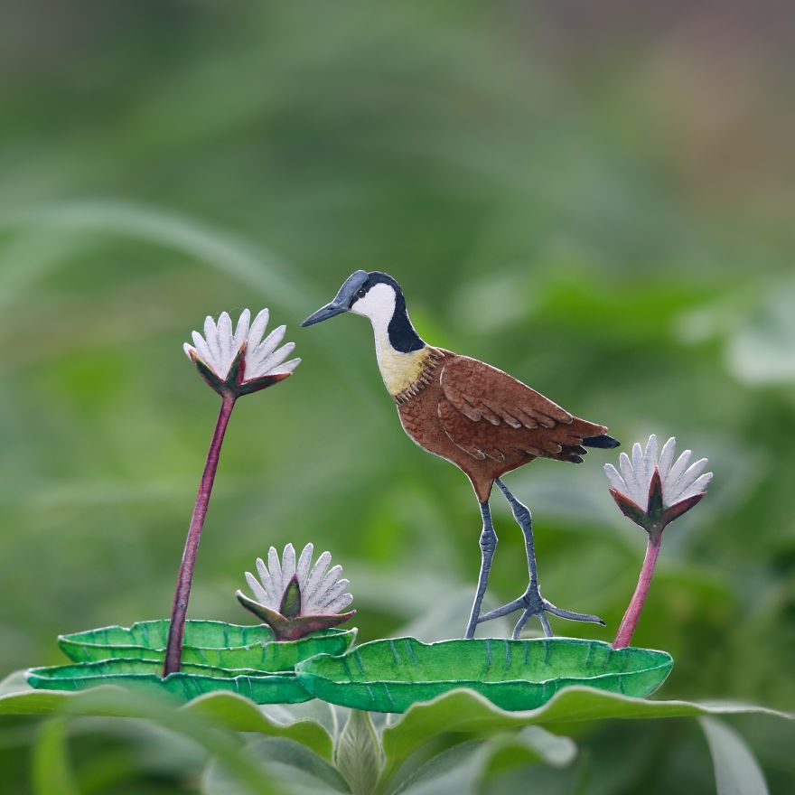 We Make Paper Cut Miniature Animals and One Takes 4 To 6 Hours To Complete We Make Paper Cut Miniature Animals and One Takes 4 To 6 Hours To Complete