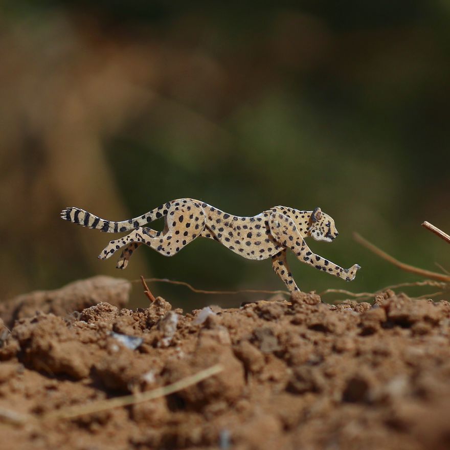 We Make Paper Cut Miniature Animals and One Takes 4 To 6 Hours To Complete We Make Paper Cut Miniature Animals and One Takes 4 To 6 Hours To Complete