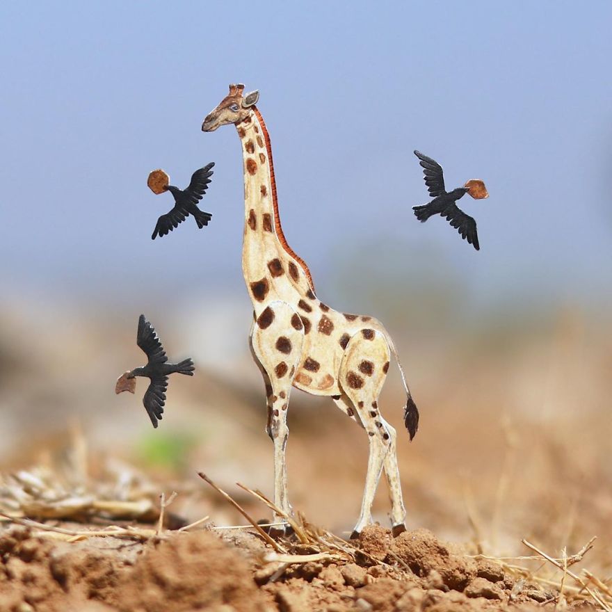 We Make Paper Cut Miniature Animals and One Takes 4 To 6 Hours To Complete We Make Paper Cut Miniature Animals and One Takes 4 To 6 Hours To Complete