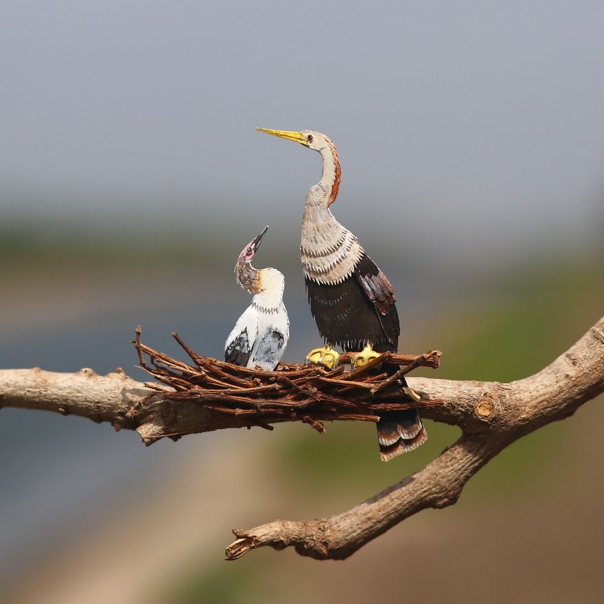 We Make Paper Cut Miniature Animals and One Takes 4 To 6 Hours To Complete We Make Paper Cut Miniature Animals and One Takes 4 To 6 Hours To Complete