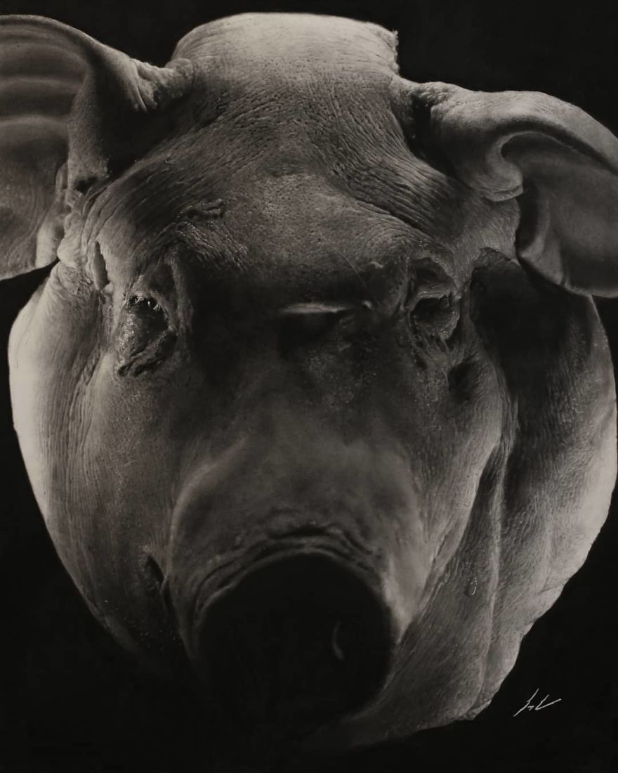 I’ve Been Training Myself To Draw Photorealistically For 3 Years, Here Are Some Of My Best Works (24 Pics) I’ve Been Training Myself To Draw Photorealistically For 3 Years, Here Are Some Of My Best Works (24 Pics)