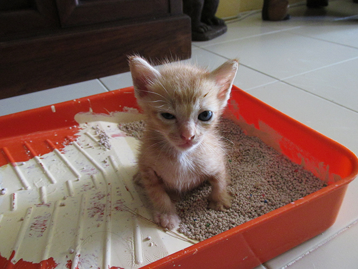 20 Small Ways In Which You Can Help The Environment That Are Too Easy Not To Try