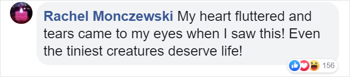 Zoo Asks For Woman’s Help In Repairing Butterfly&#8217;s Wings, She Gives It A Transplant