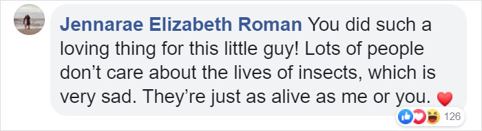 Zoo Asks For Woman’s Help In Repairing Butterfly&#8217;s Wings, She Gives It A Transplant